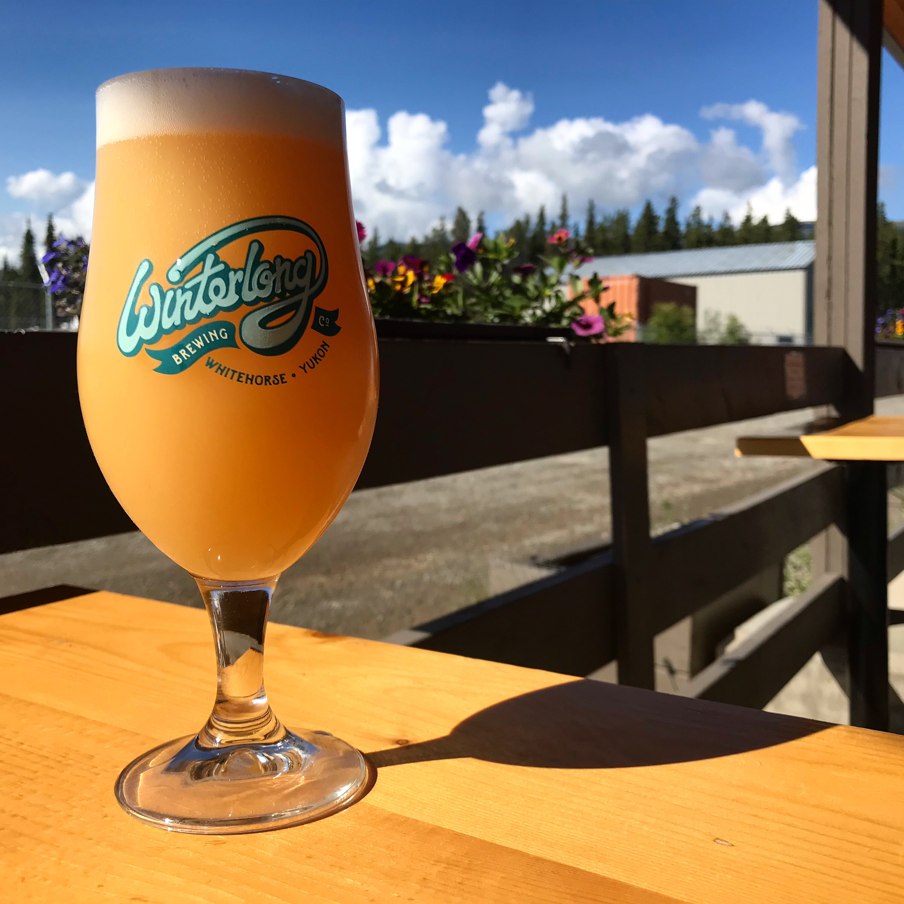 Tasting Room Re-Opening