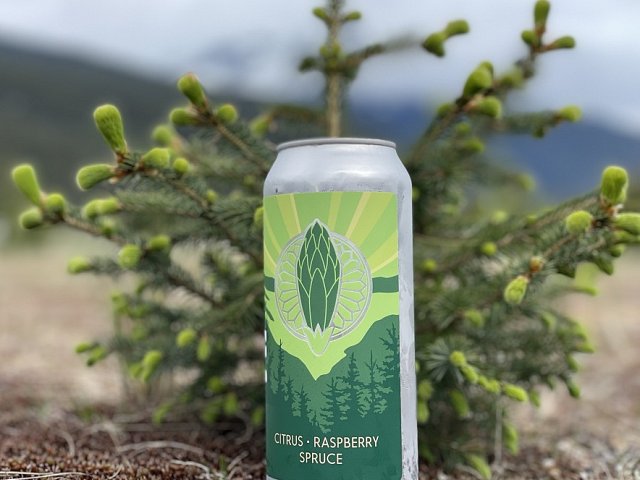Spruce Tip