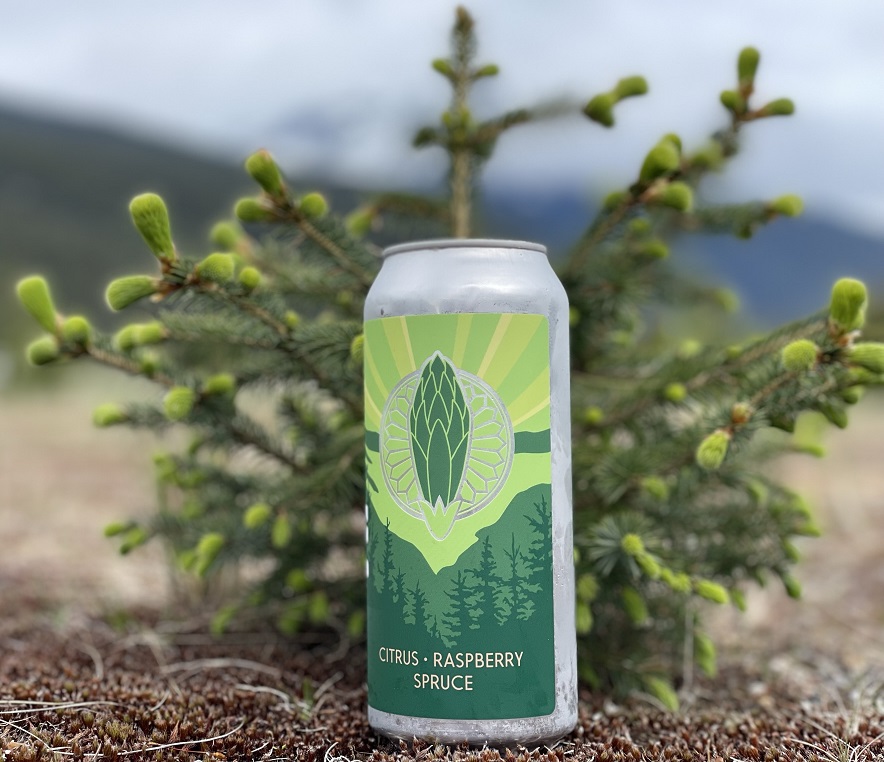 Spruce Tip